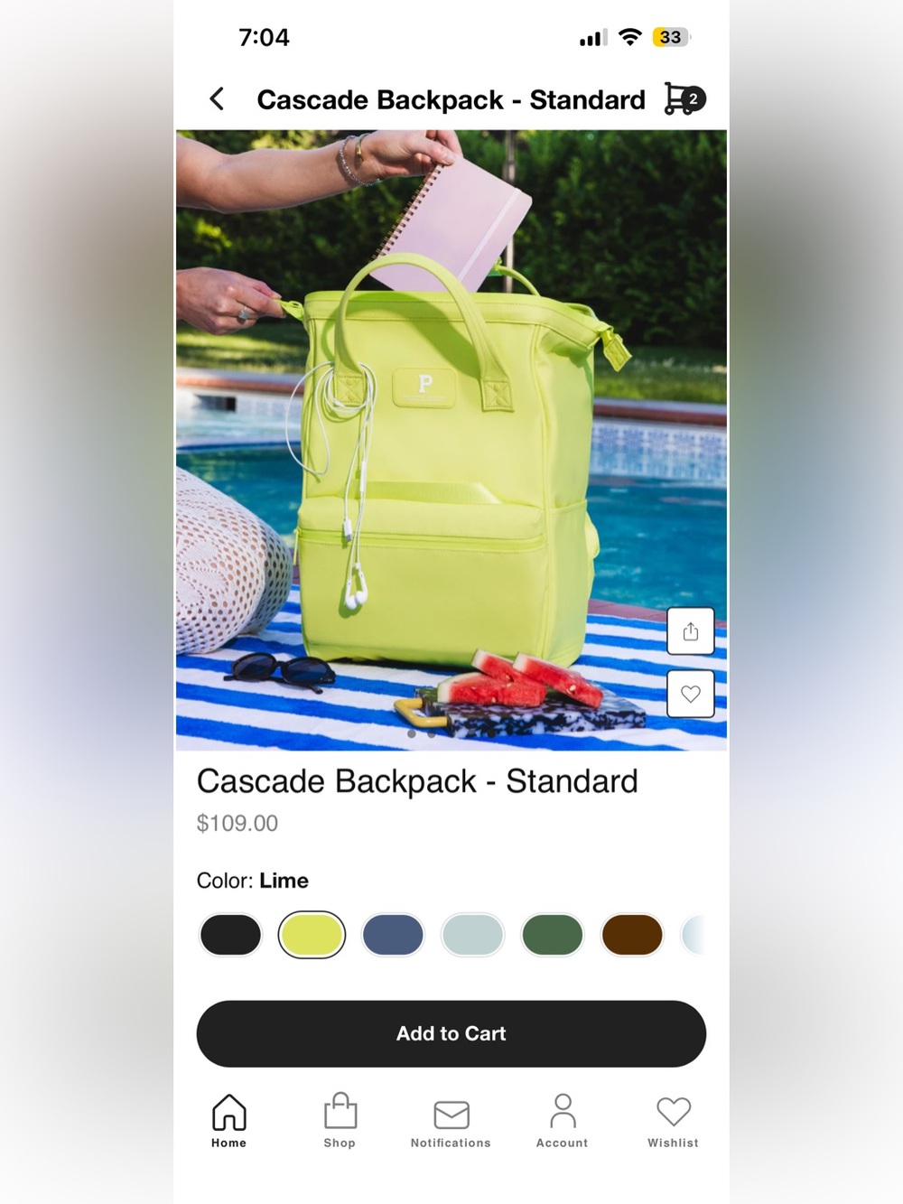 Portland Gear lime color cascade packbag Standard - Picture 8 of 8